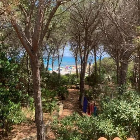 Holiday home Jana De Mar